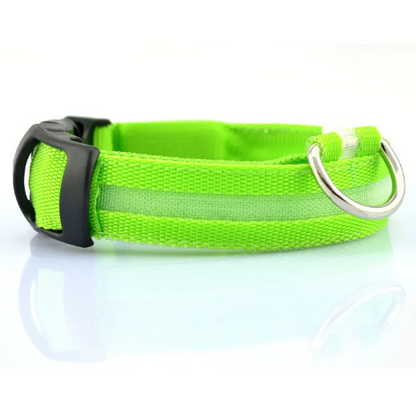 Glow Paw LED Safety Collar