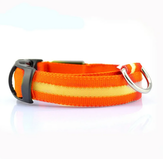 Glow Paw LED Safety Collar