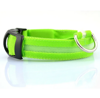 Glow Paw LED Safety Collar