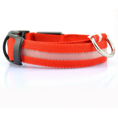 Glow Paw LED Safety Collar