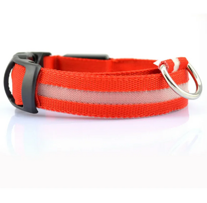 Glow Paw LED Safety Collar